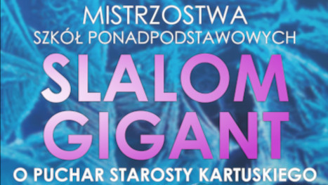 Grafika Mistrzostw w Slalomie