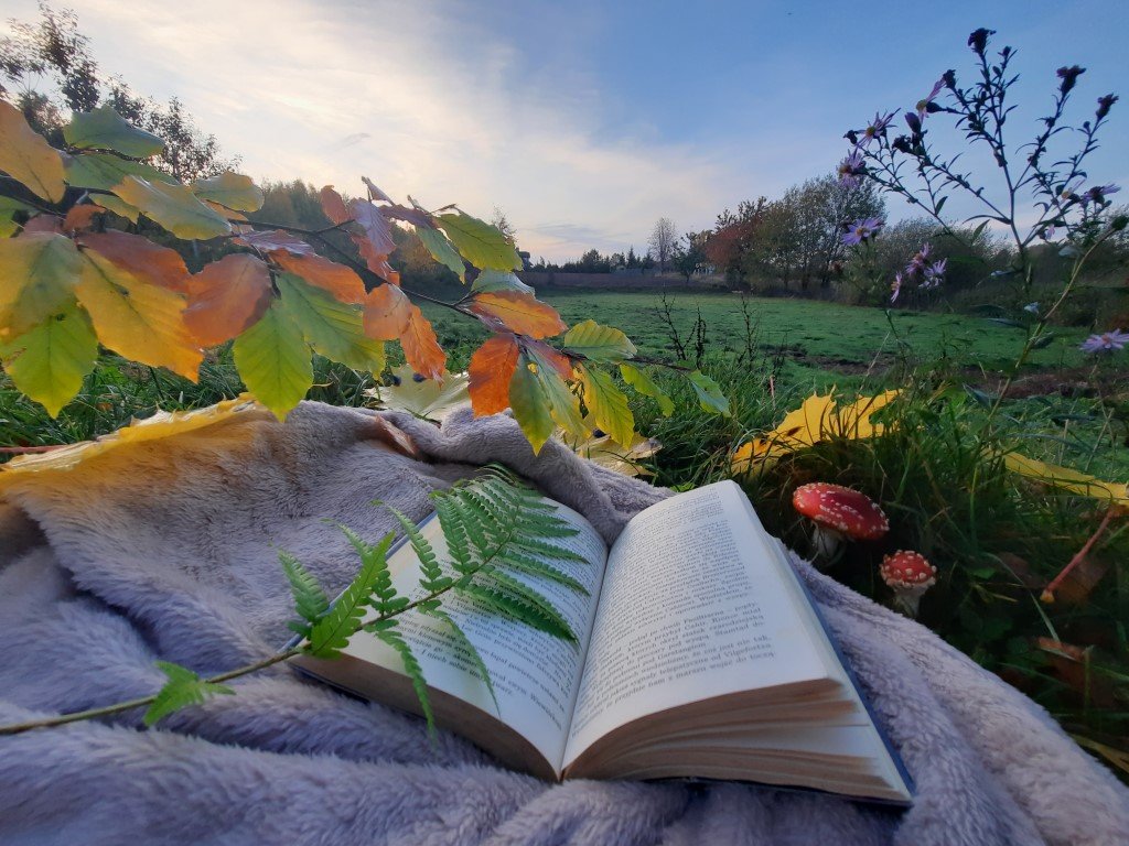 Jesienne popołudnie Martyna Deyk